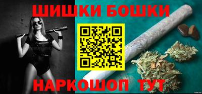 мдпв Бийск