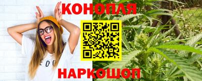 мдпв Бийск