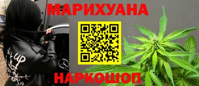 мдпв Бийск