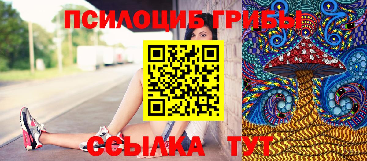 Псилоцибиновые грибы MAGIC MUSHROOMS  Вход с VPN  Калининград 